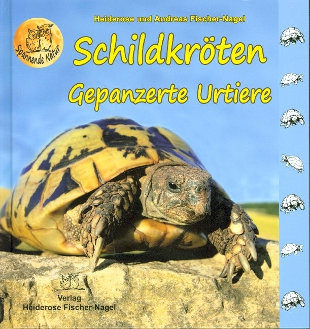 Schildkröten (Heiderose Fischer-Nagel)