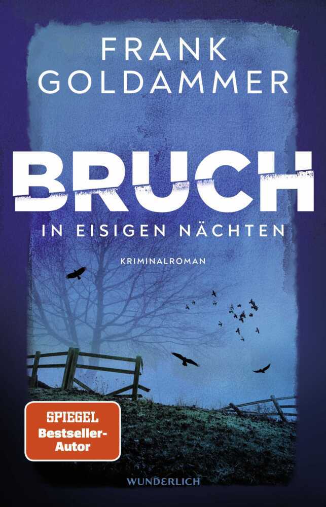 Bruch: In eisigen Nächten (Frank Goldammer)