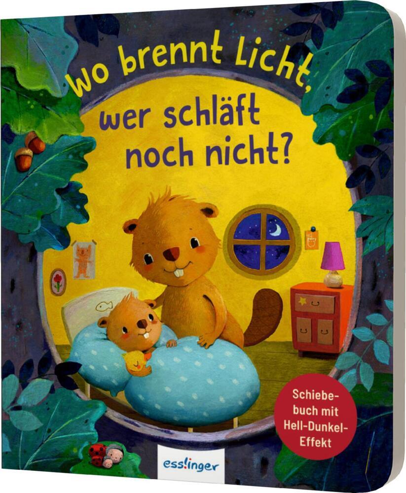 Wo brennt Licht, wer schläft noch nicht? (Anja Kiel)