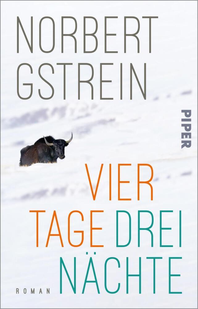 Vier Tage, drei Nächte (Norbert Gstrein)