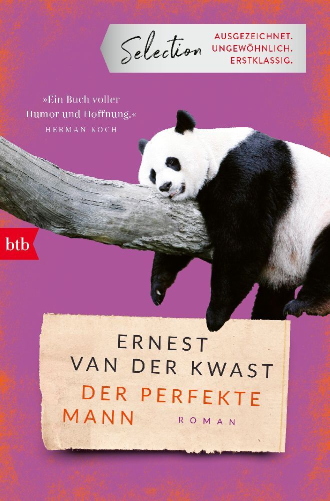 Der perfekte Mann (Ernest Van Der Kwast)