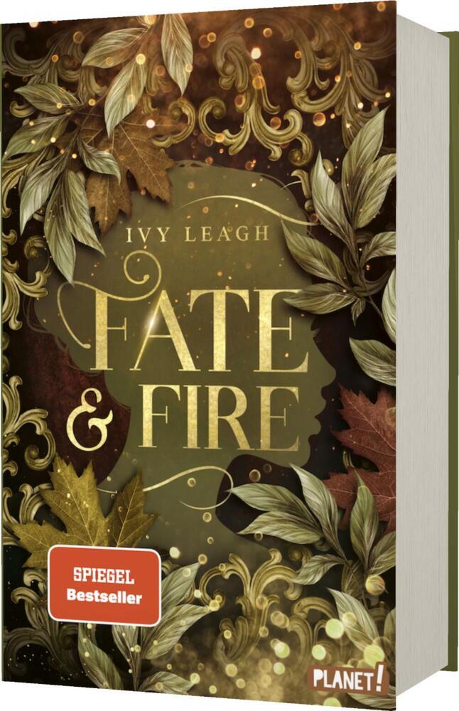 Die Nordlicht-Saga 1: Fate and Fire (Ivy Leagh)