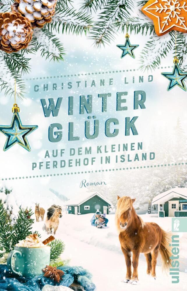 Winterglück auf dem kleinen Pferdehof in Island (Christiane Lind)