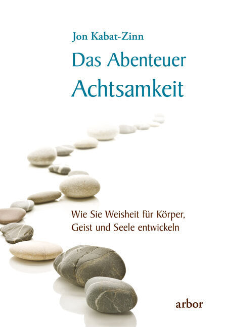 Das Abenteuer Achtsamkeit, m. 1 Audio (Jon Kabat-Zinn)