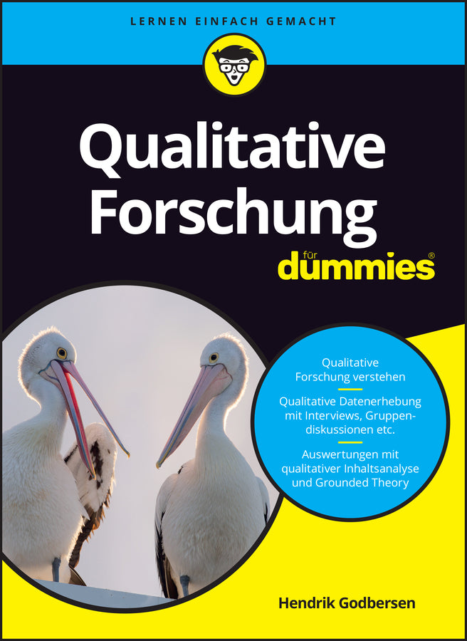 Qualitative Forschung für Dummies (Hendrik Godbersen)