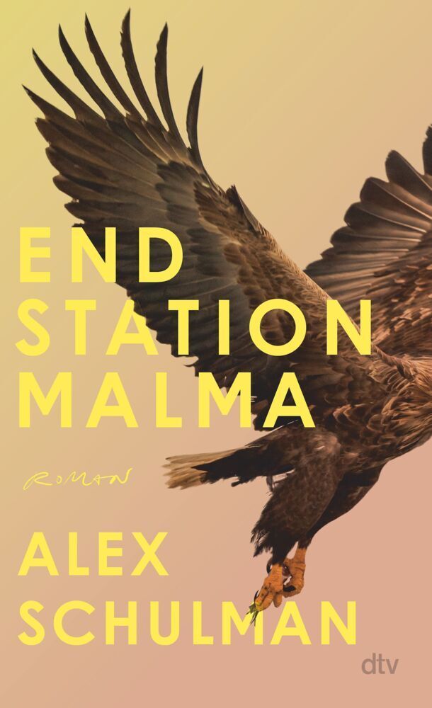 Endstation Malma (Alex Schulman)