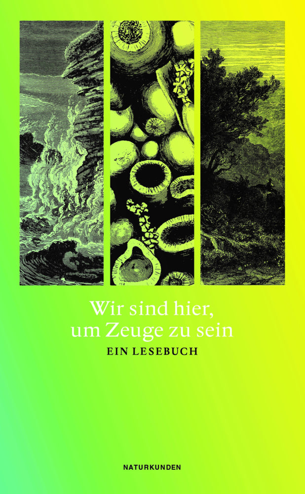 Wir sind hier, um Zeuge zu sein (Judith Schalansky)