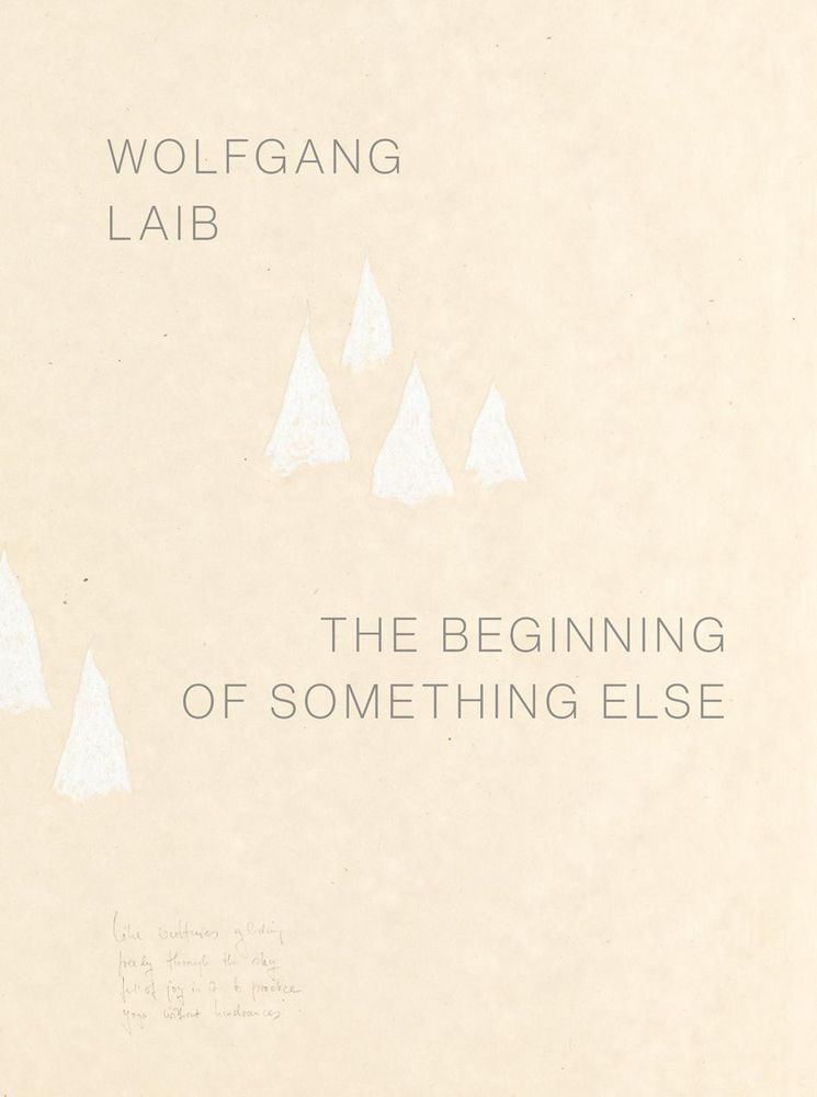 Wolfgang Laib (Ulrike Groos)