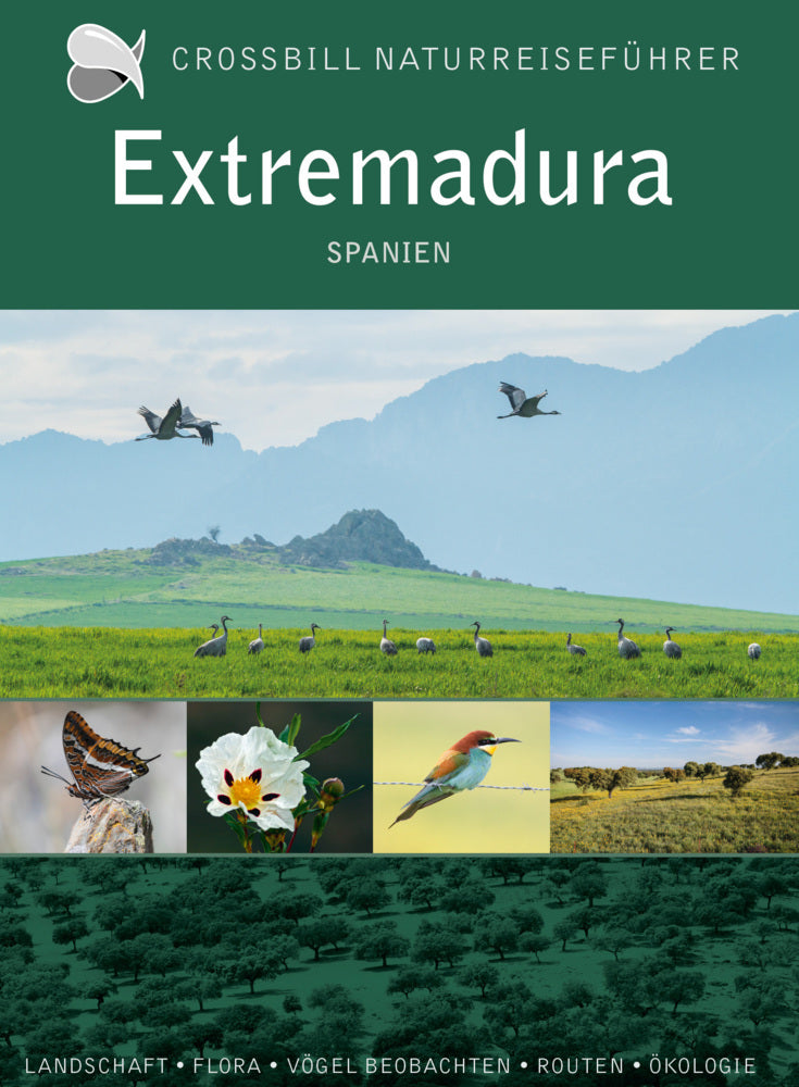 Extremadura (Dirk Hilbers)