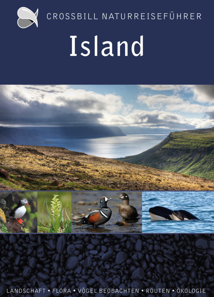 Island (Dirk Hilbers)