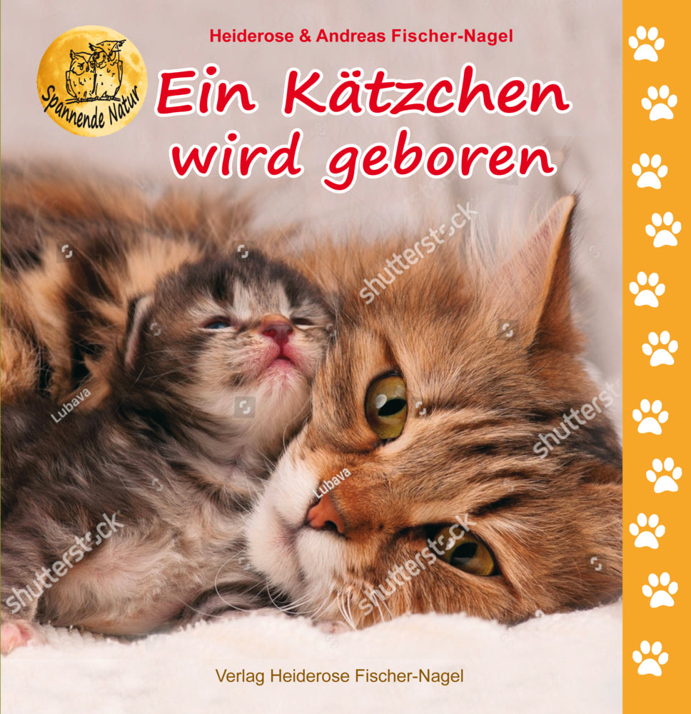 Ein Kätzchen wird geboren (Heiderose Fischer-Nagel)