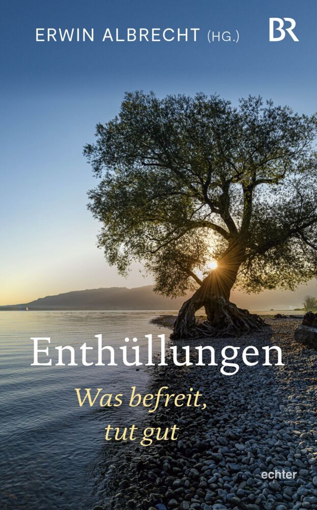 Enthüllungen (Erwin Albrecht)
