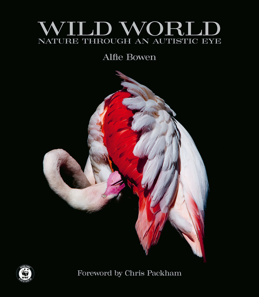 Wild World (Alfie Bowen)