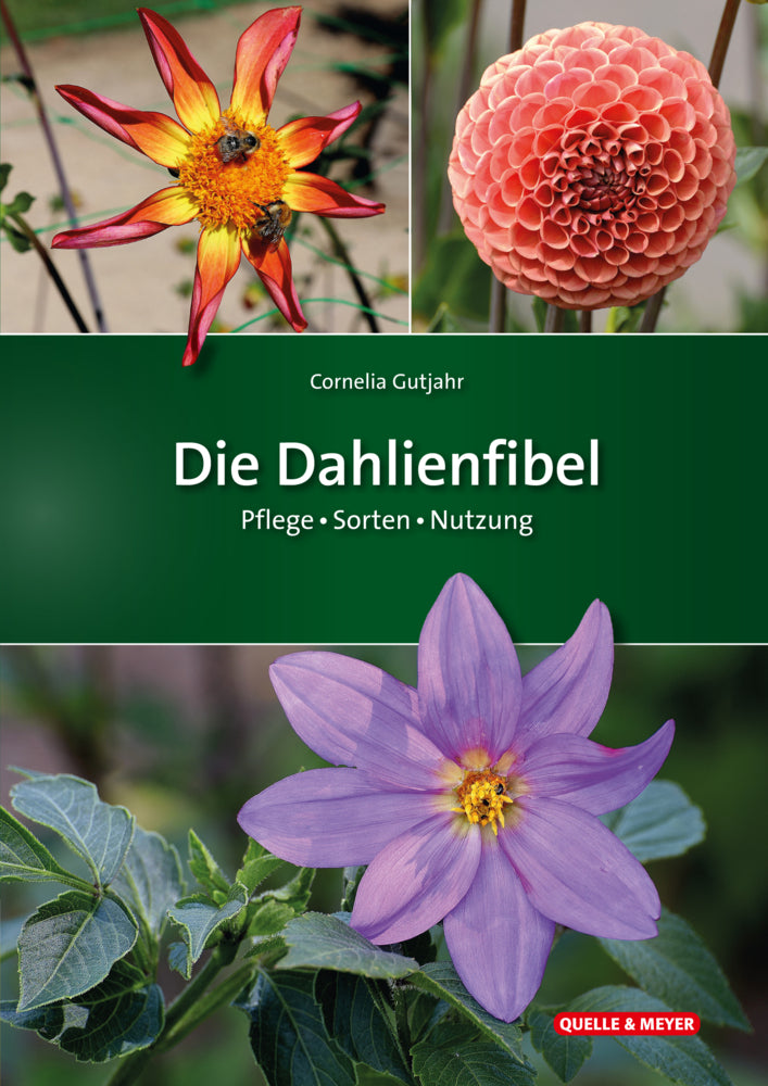 Die Dahlienfibel (Cornelia Gutjahr)