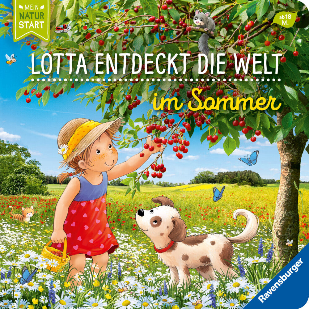 Lotta entdeckt die Welt: Im Sommer (Sandra Grimm)