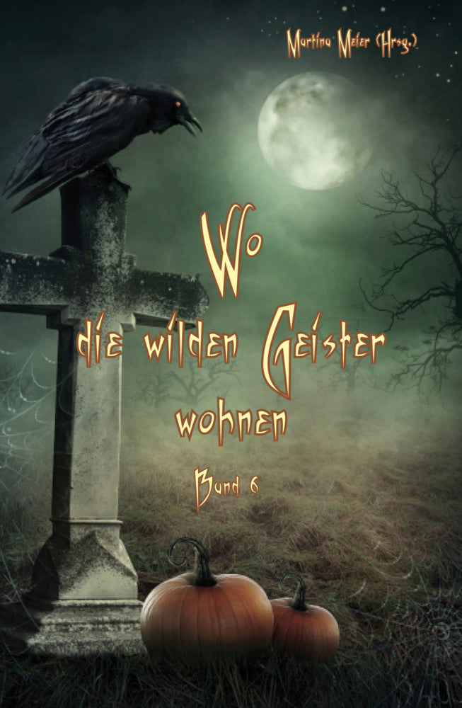 Wo die wilden Geister wohnen ... Schaurig-schöne Gruselgeschichten für Kinder Band 6 (Martina Meier)