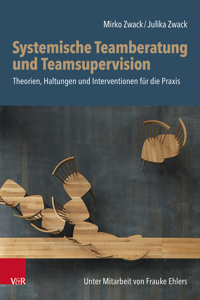 Systemische Teamberatung und Teamsupervision (Mirko Zwack)