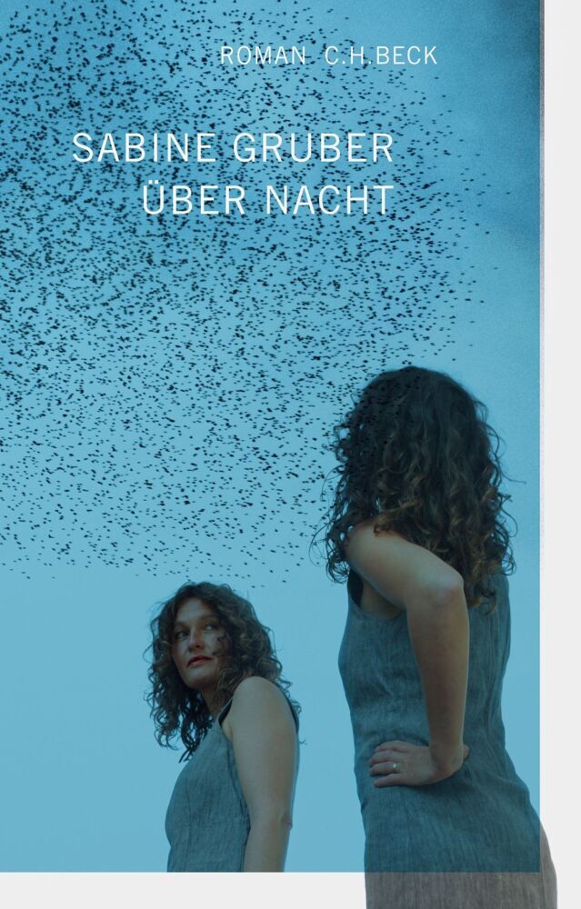 Über Nacht (Sabine Gruber)