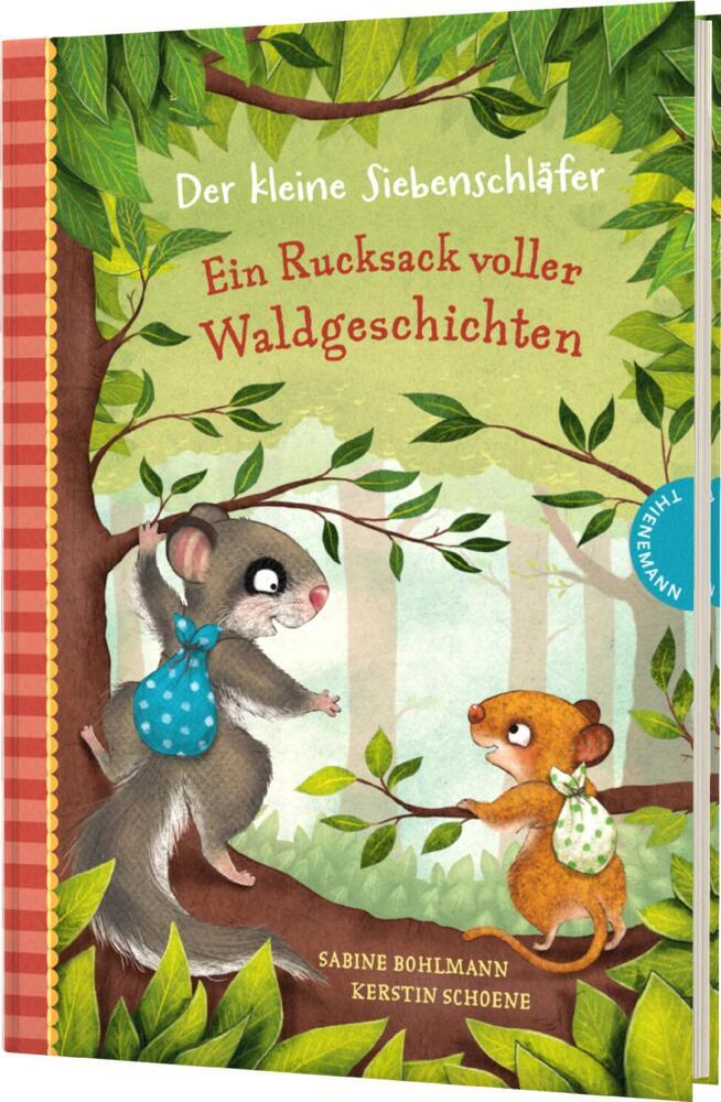 Der kleine Siebenschläfer: Ein Rucksack voller Waldgeschichten (Sabine Bohlmann)