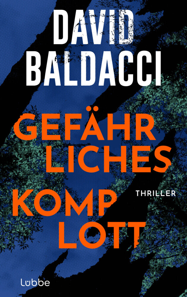 Gefährliches Komplott (David Baldacci)