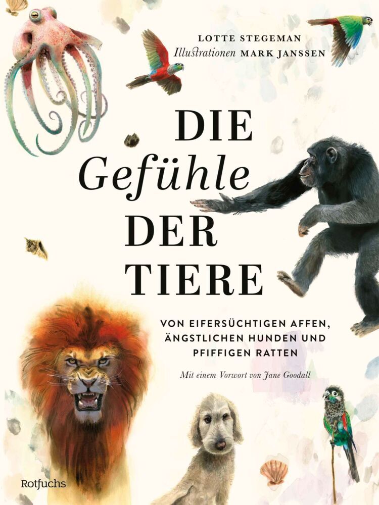 Die Gefühle der Tiere (Lotte Stegeman)