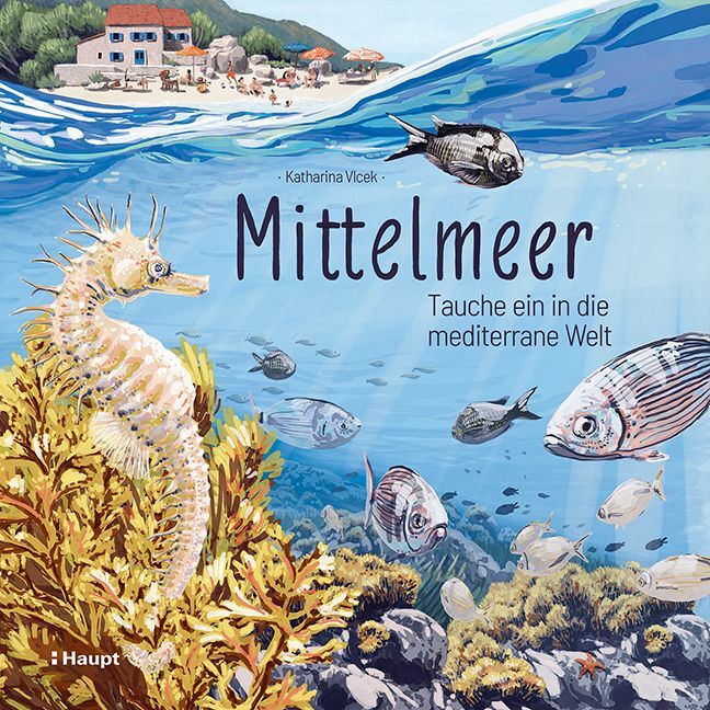 Mittelmeer (Katharina Vlcek)