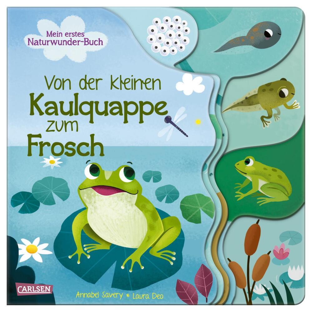 Von der kleinen Kaulquappe zum Frosch (Annabel Savery)