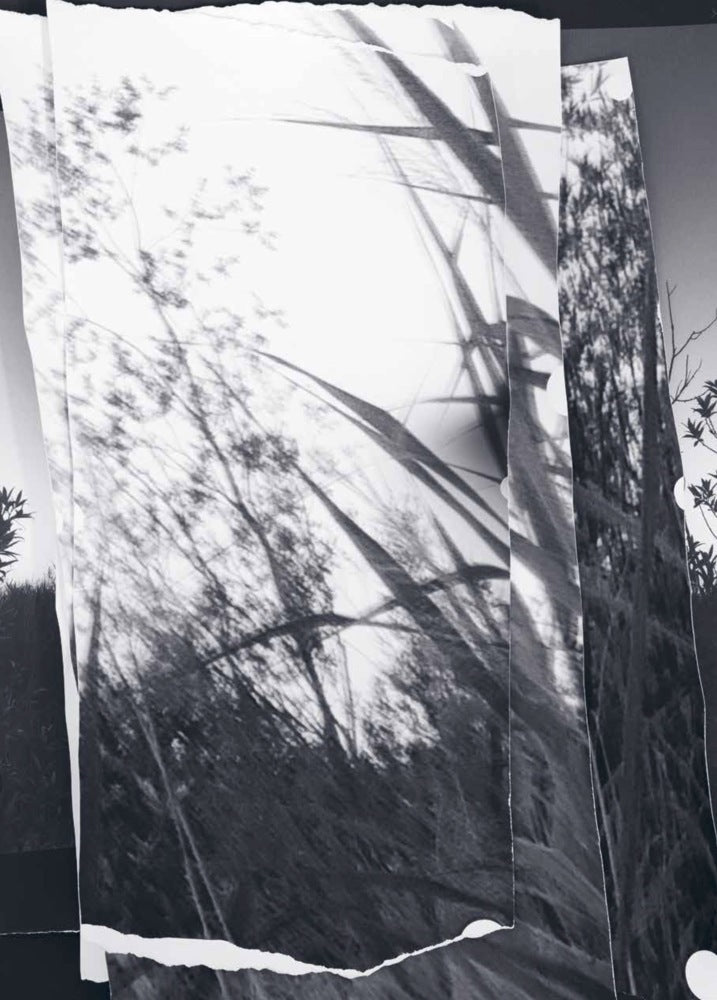 walks, conversations (Berit Schneidereit)