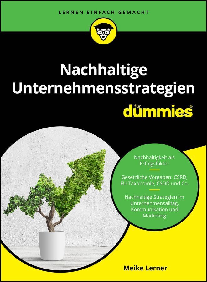 Nachhaltige Unternehmensstrategien für Dummies (Meike Lerner)