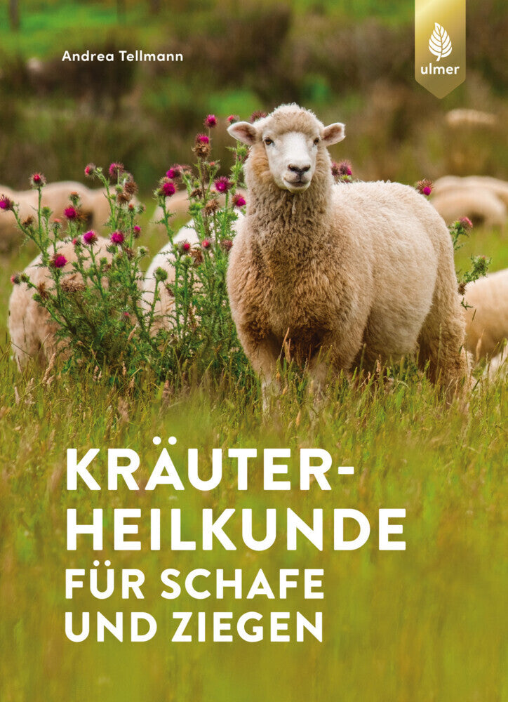Kräuterheilkunde für Schafe und Ziegen (Andrea Tellmann)