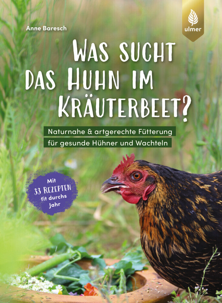 Was sucht das Huhn im Kräuterbeet? (Anne Baresch)