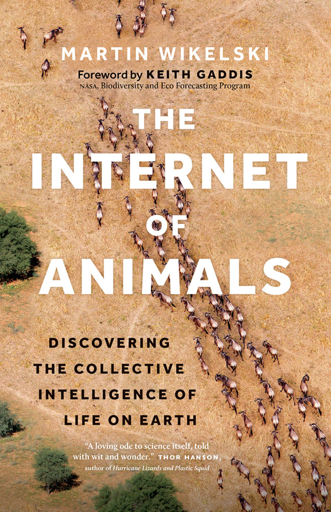 The Internet of Animals (Martin Wikelski)