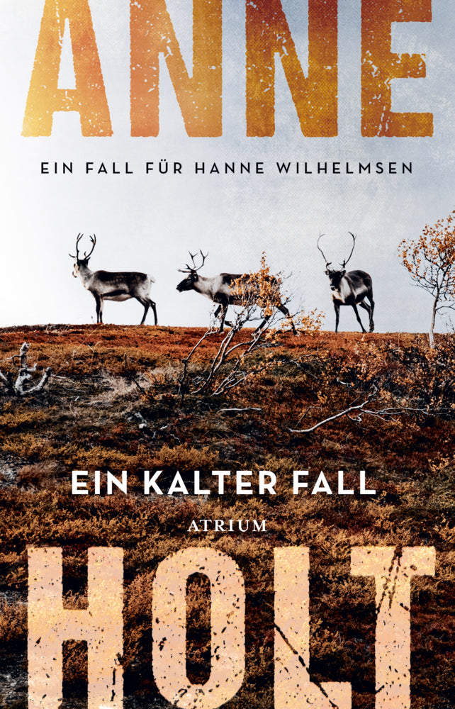 Ein kalter Fall (Anne Holt)