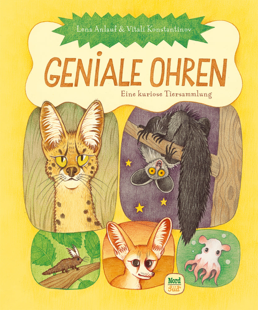 Geniale Ohren (Lena Anlauf)