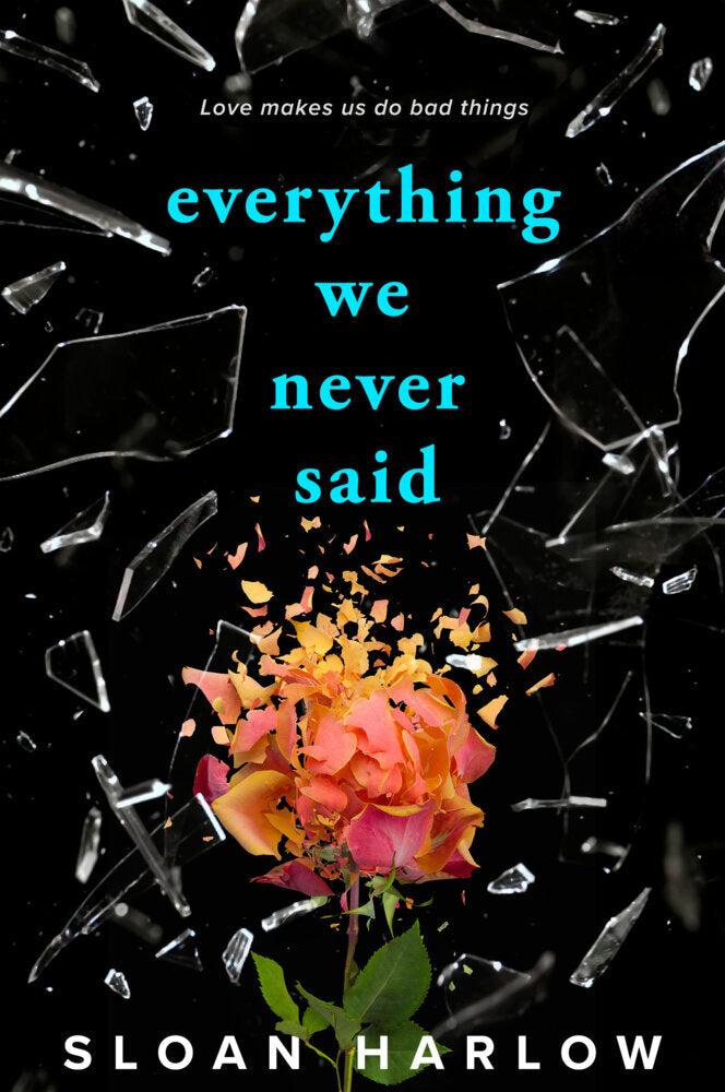 Everything We Never Said (Sloan Harlow)