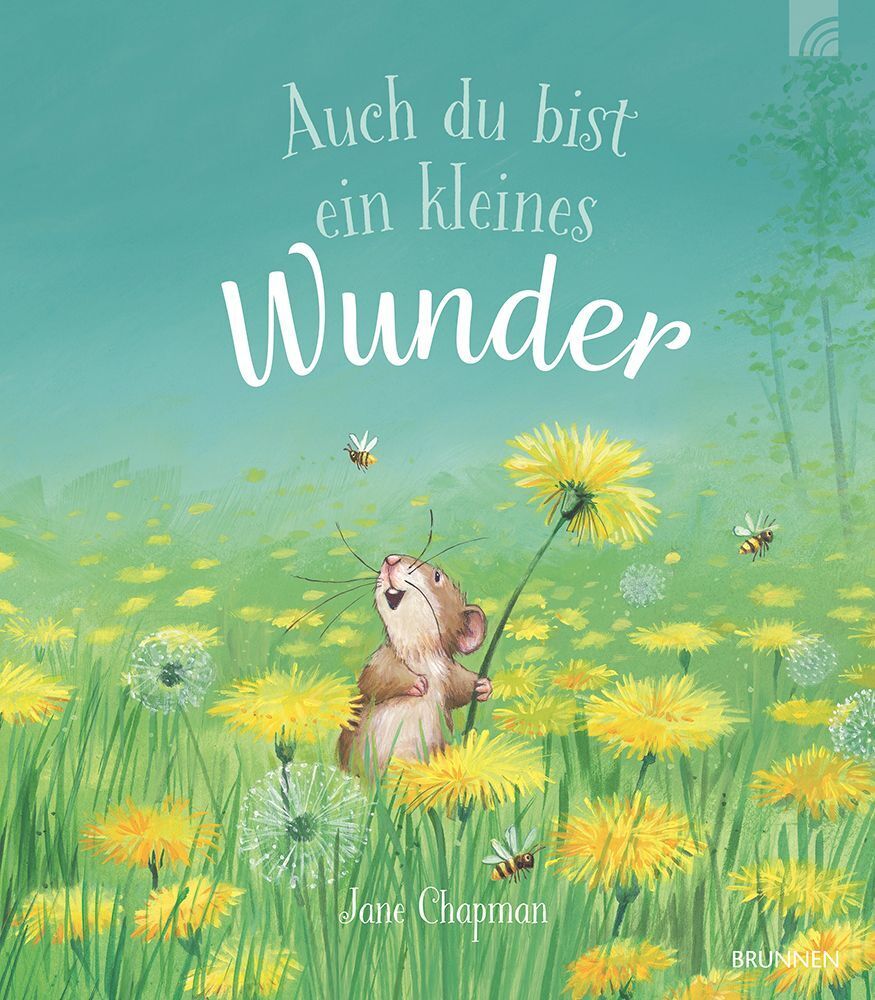 Auch du bist ein kleines Wunder (Jane Chapman)