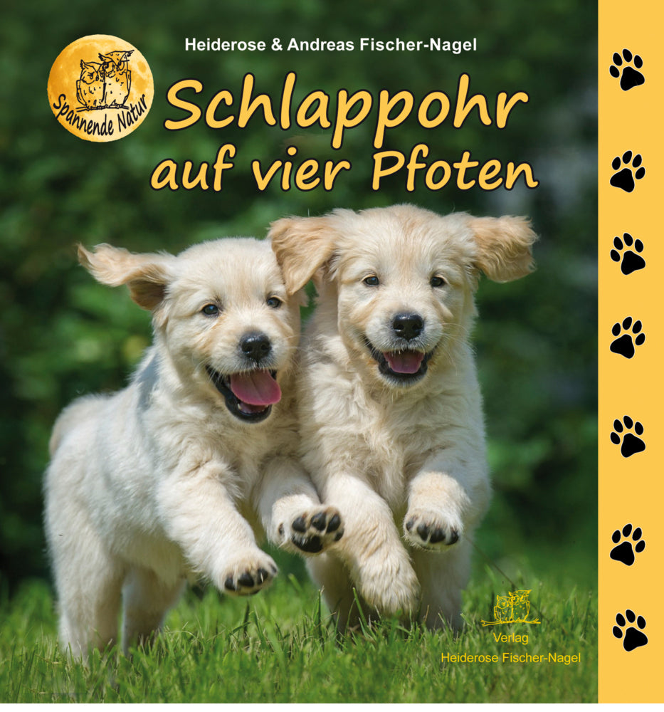 Schlappohr auf vier Pfoten (Heiderose Fischer-Nagel)