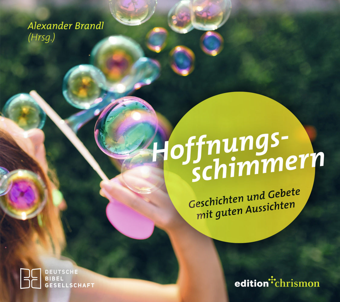 Hoffnungsschimmern (Alexander Brandl)