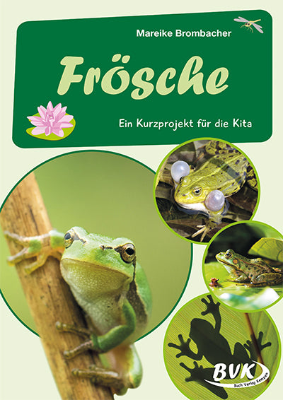 Frösche (Mareike Brombacher)