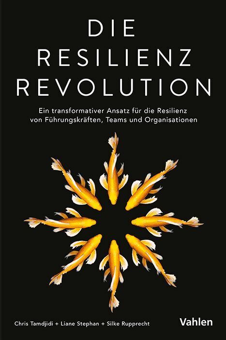 Die Resilienz Revolution (Chris Tamdjidi)
