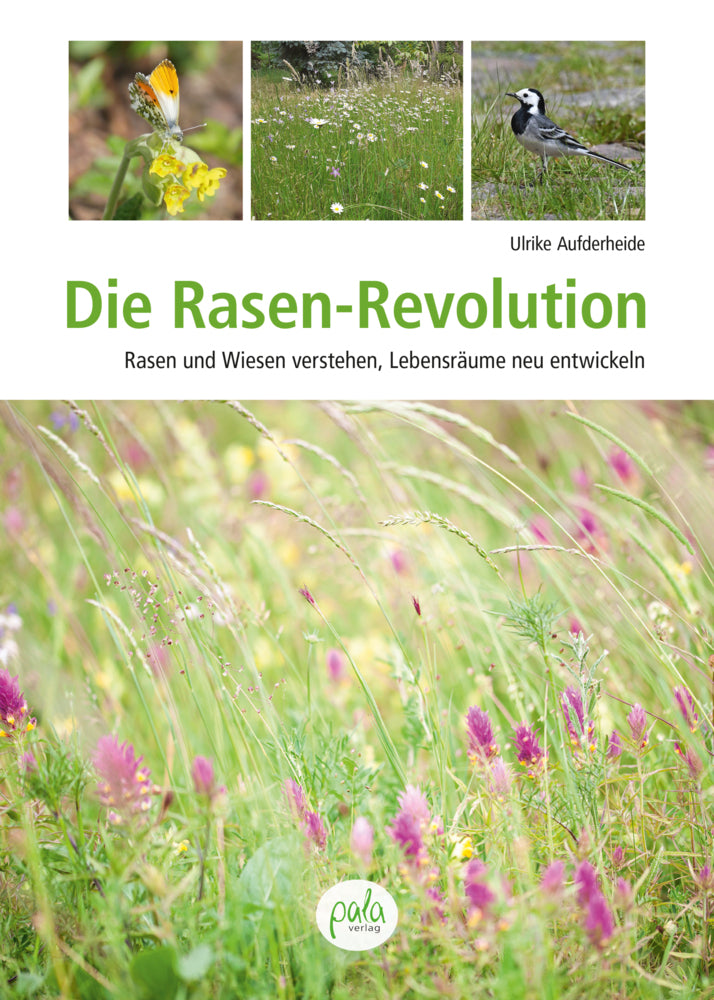 Die Rasen-Revolution (Ulrike Aufderheide)