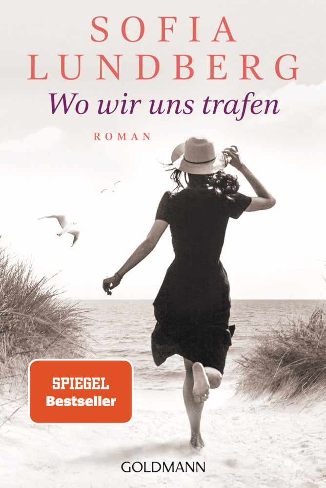 Wo wir uns trafen (Sofia Lundberg)
