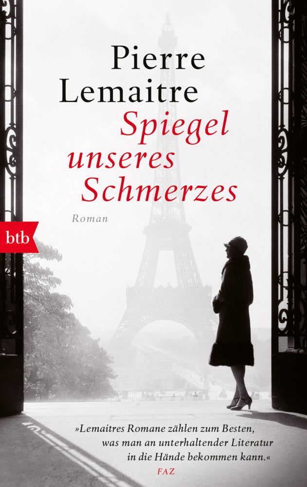 Spiegel unseres Schmerzes (Pierre Lemaitre)
