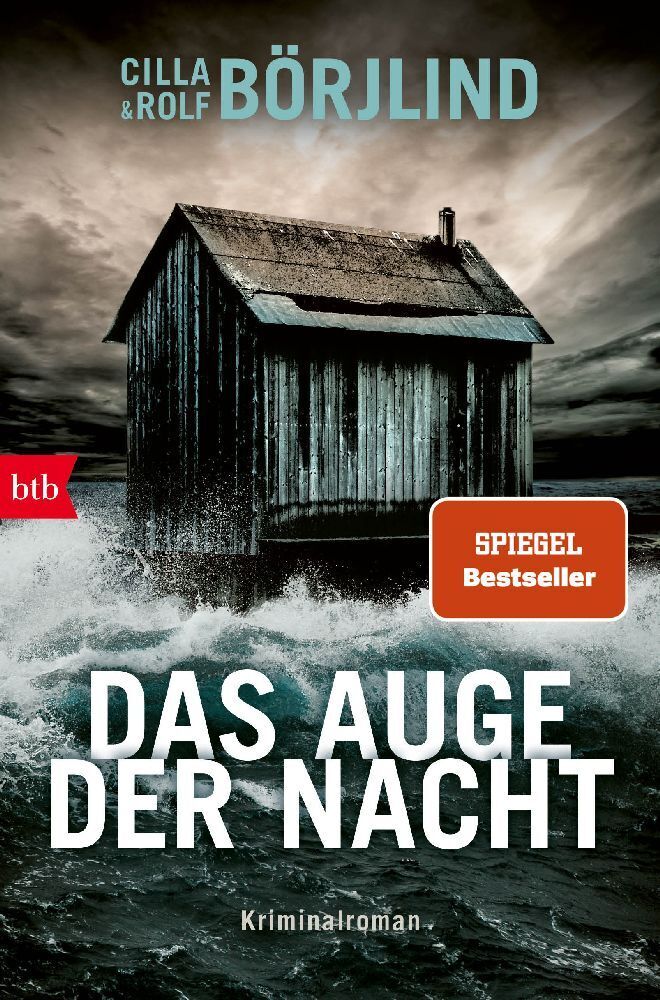 Das Auge der Nacht (Cilla Börjlind)