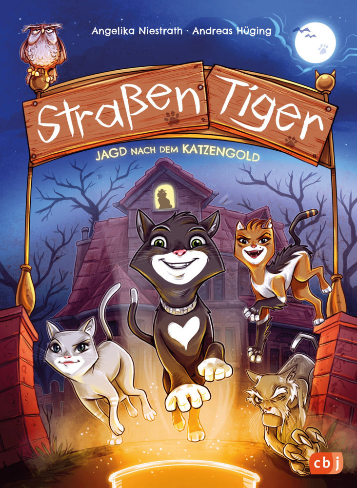 Straßentiger - Jagd nach dem Katzengold (Andreas Hüging)