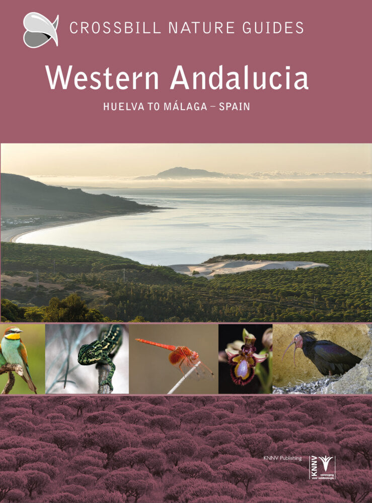 Western Andalucia (Dirk Hilbers)