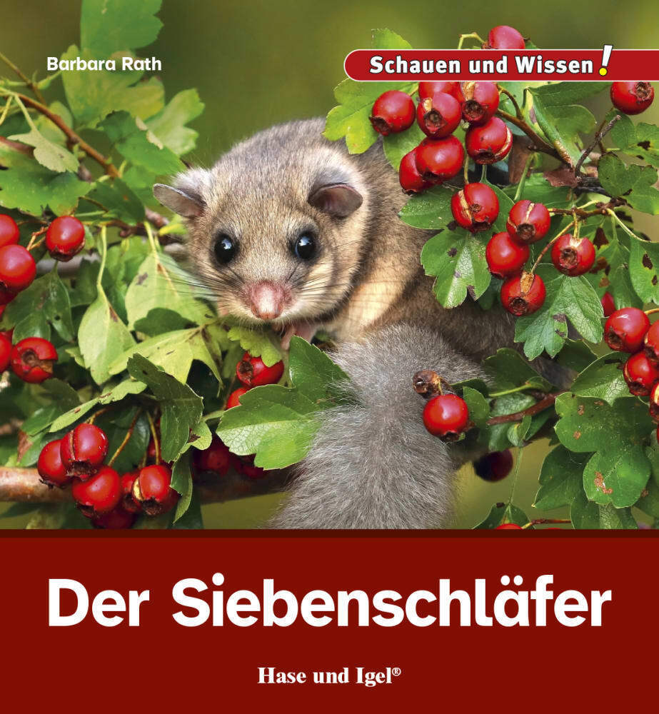Der Siebenschläfer (Barbara Rath)