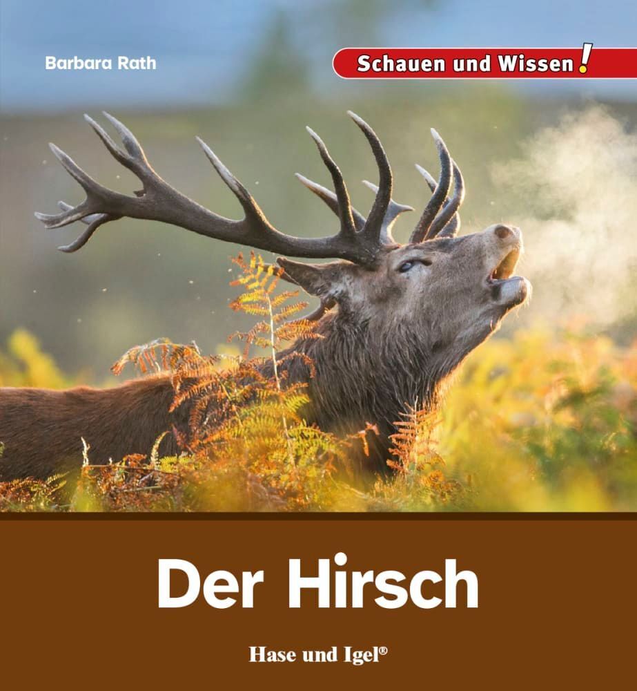 Der Hirsch (Barbara Rath)