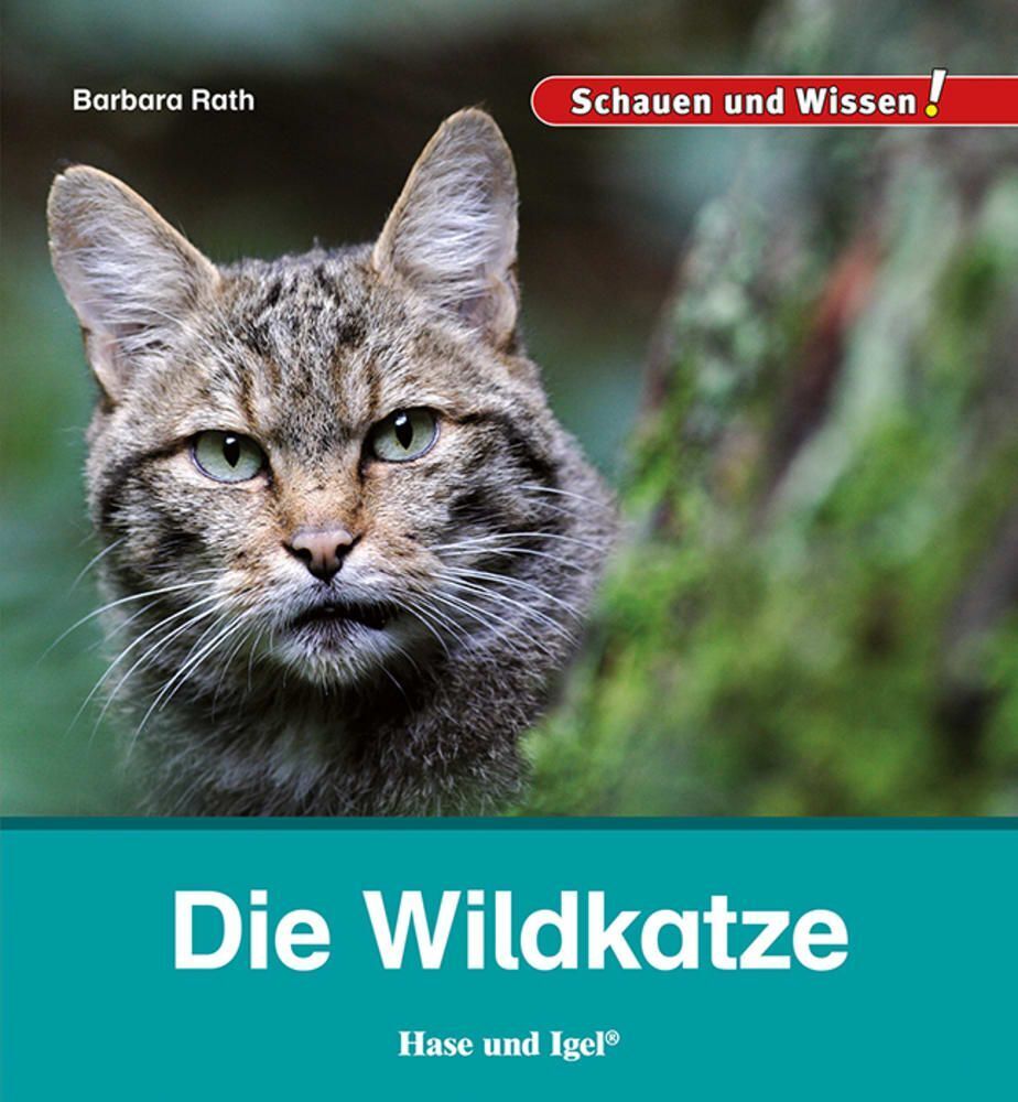 Die Wildkatze (Barbara Rath)