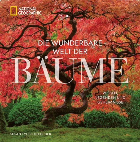 Die wunderbare Welt der Bäume (Susan Tyler Hitchcock)